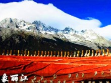 南极科考站特别访问团
